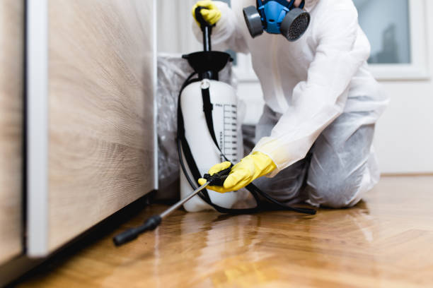 Best Pest Prevention Services  in USA